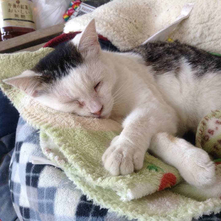 B0365fb2 8501 45ed 9ce8 f68e90c34d0e 1524488200450