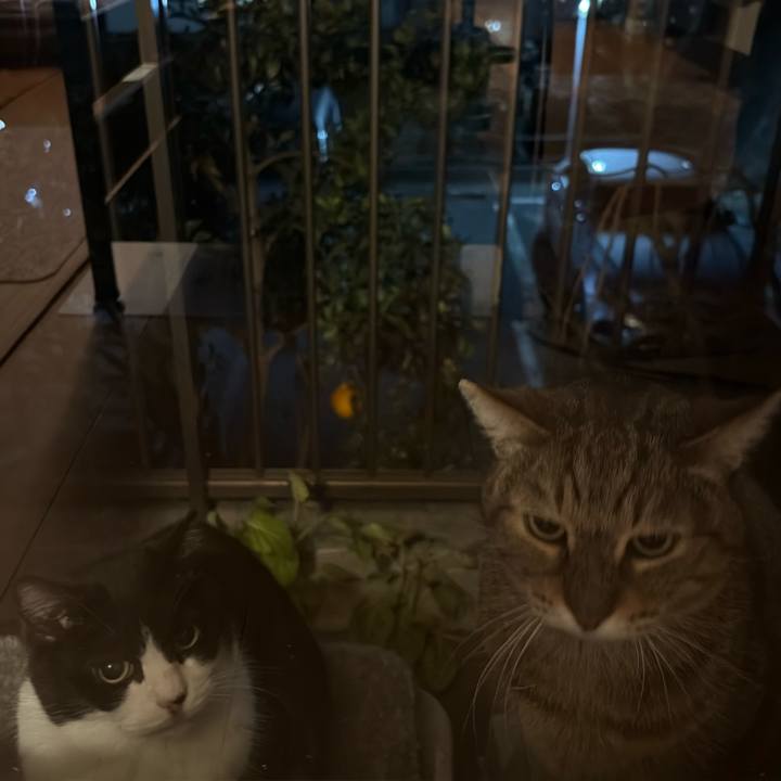 B03671a8 afe4 48d2 b911 de374af30379 1767519868022