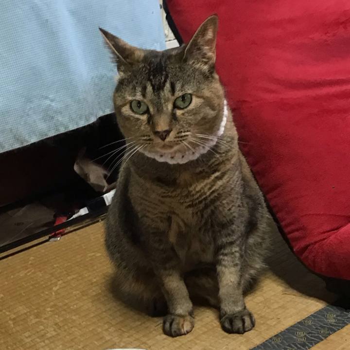 B03676a7 5d33 45dc 910d c62445975e19 1752143405698