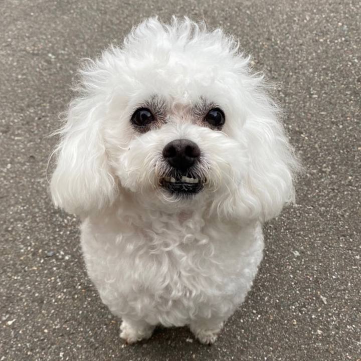 B03683f8 6fe9 4940 b2de fa388cae3065 1644834050519