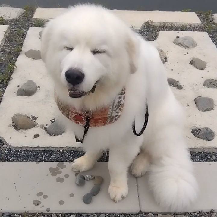 B0369b24 1af4 467c 8174 41a44b79da86 1687732730565