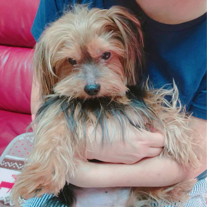 B0369d79 07f6 4272 ad58 3a1cd7f4977e 1532422163329