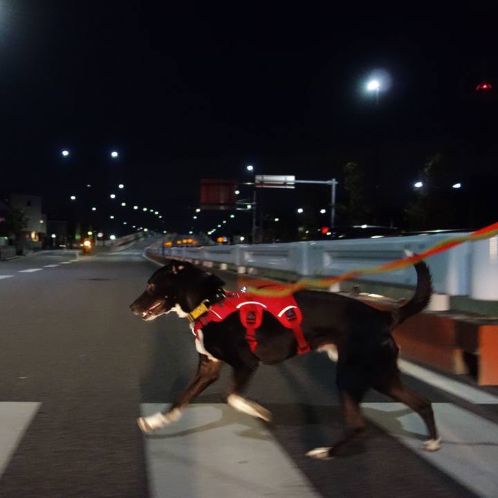 B036c063 3139 427d b5cb ace7f31d10a4 1584017314377