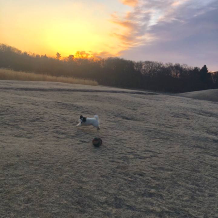 B036c39b fdf2 445d b417 1b666bdaa951 1519769543501