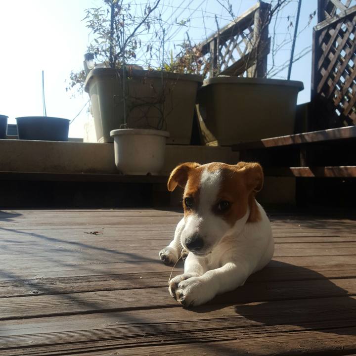 B036c91e 4ff6 46d3 aa22 84903492ae64 1551745434472