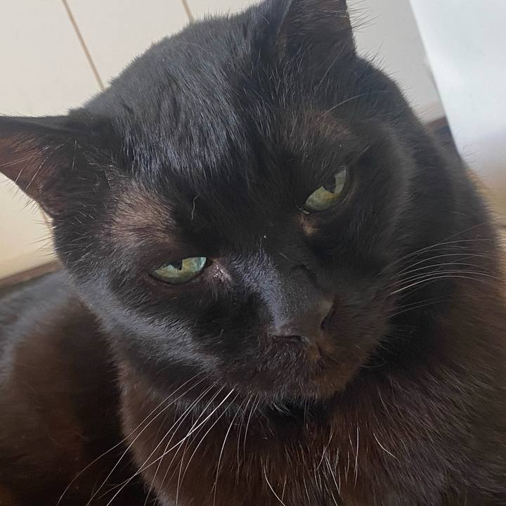 B036d250 5f05 48ab 9644 342e9a1e9861 1731881548529