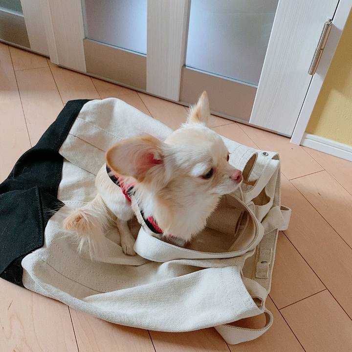 B036e3ba 8261 4f97 b740 ab40ced21ddc 1612753163857