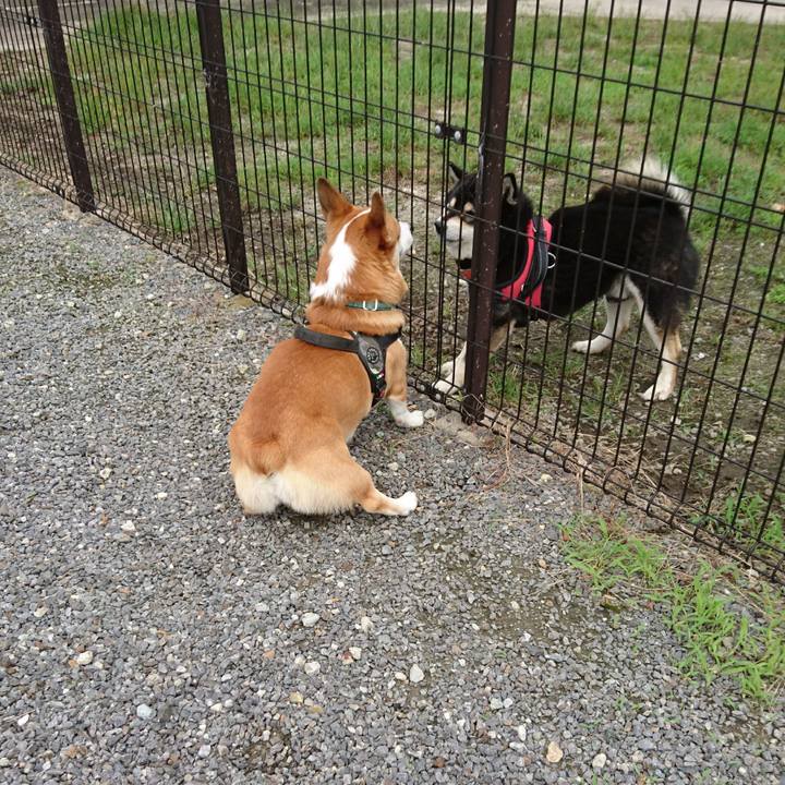 B036ec42 f42b 4847 a387 f8fbe9cd320f 1632031947195