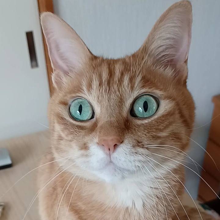 B036f15b 0871 45f3 a164 b88e63f4d10a 1670150951571