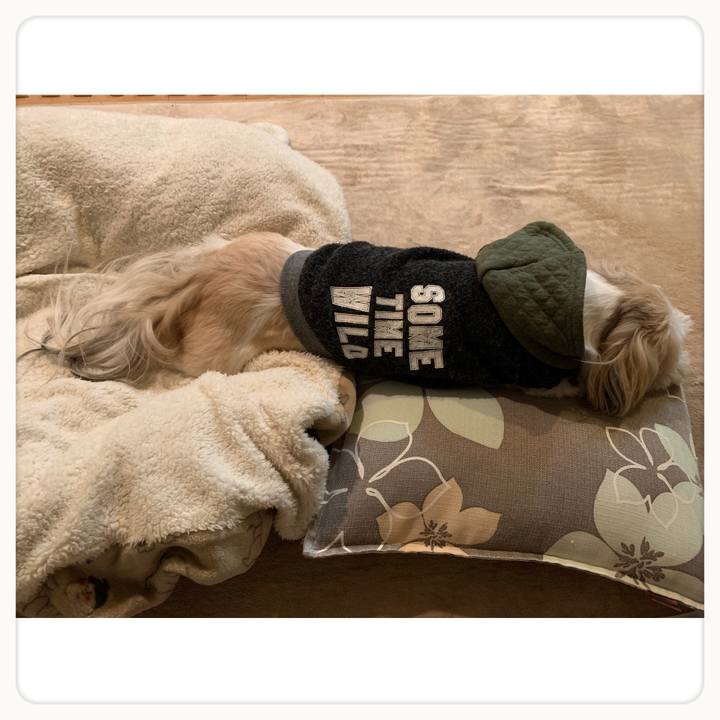 B0371155 9018 4940 a067 0e81b4696bf3 1613617737178