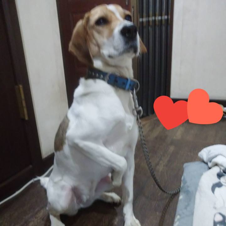 B037176f 02a4 4ffc b556 588a648951b7 1612350870222