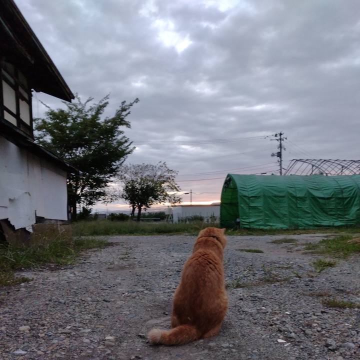 B03723aa 9be7 444c 9422 6ad5110787eb 1695677507650