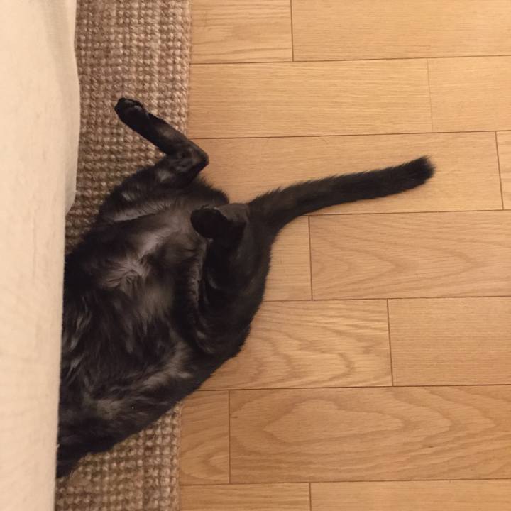 B0373245 9051 4e68 908e b67c212b28ab 1521852192597