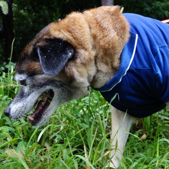 B037aa92 9750 44f2 a1fc e5f1543f1cbd 1563064401614