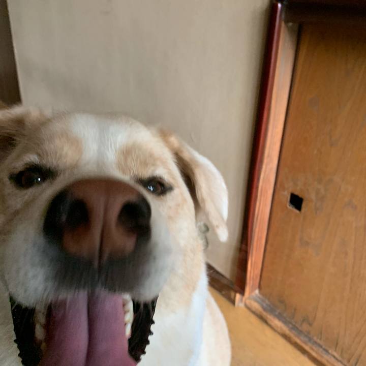 B037ebc5 dff9 430c a3e2 03ffe41a2415 1565473455476