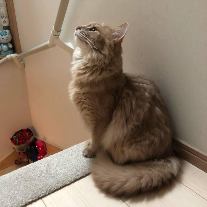 B037ebf2 5089 4b70 ba35 87630541a097 1621555722830