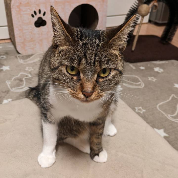 B037f216 b979 413f bf6e d70b3411c5b9 1685282418446