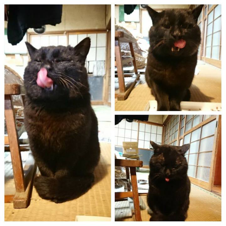 B037fce5 676c 4091 a7aa d2b12f186302 1616753383013