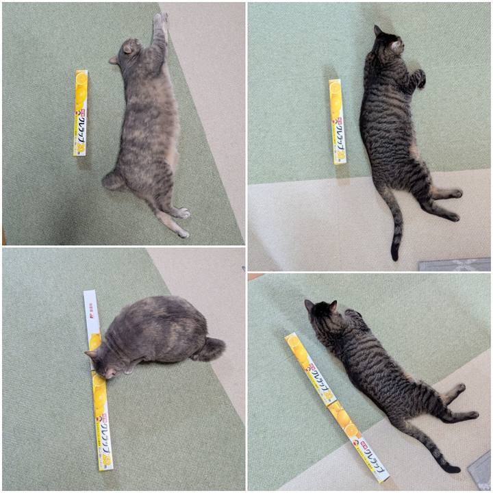 B0382601 c09f 4a0f 947c d35167151f2c 1746773940677