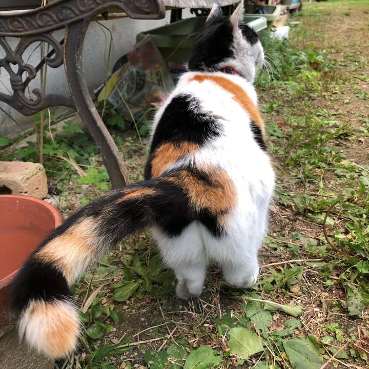 B03841ef fc36 4abc 8bd7 835f2d953337 1606516421086