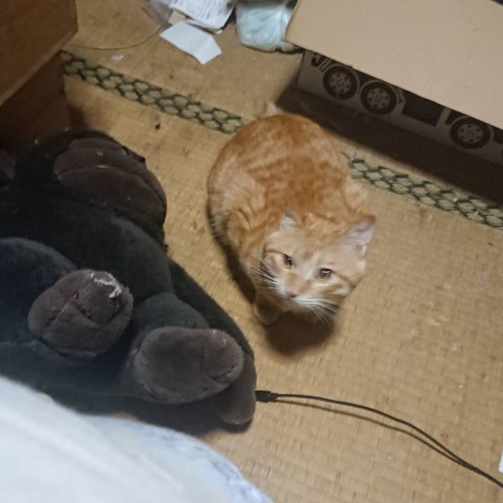 B0389d92 7fbf 494b 8a97 e5ee96e2a1d6 1645304033831