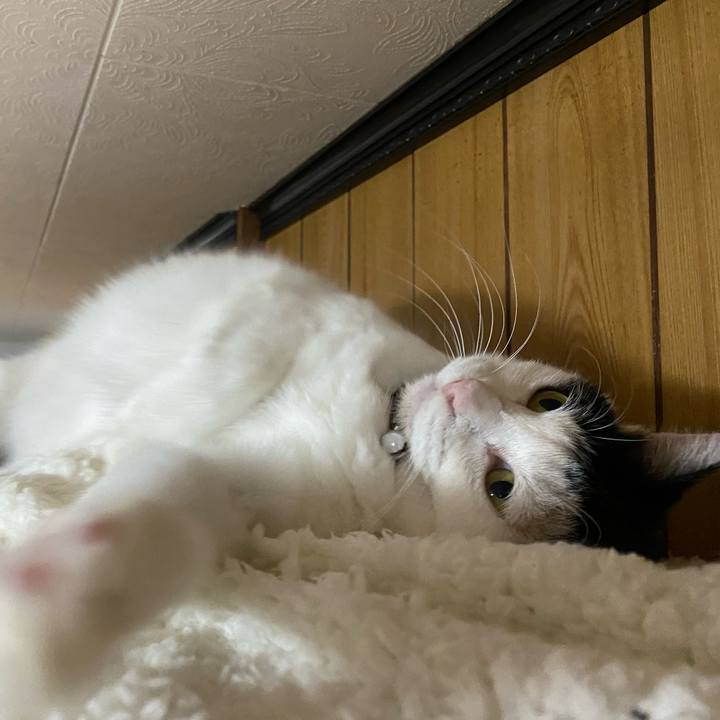 B038a383 da9a 46b2 864a 54070834d9a8 1672351029614