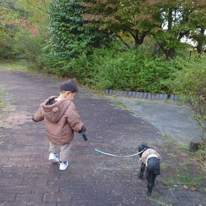 B038e09f 3ab2 4ddd 83a7 335592648847 1762598284568