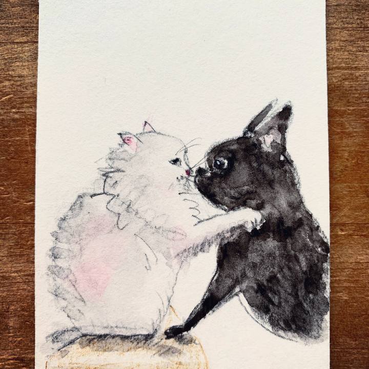 B03917aa 4347 41e5 84b1 49877c173acb 1609113940260