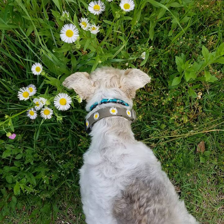 B0392501 f438 485f 82b6 d180918d4061 1525347877542