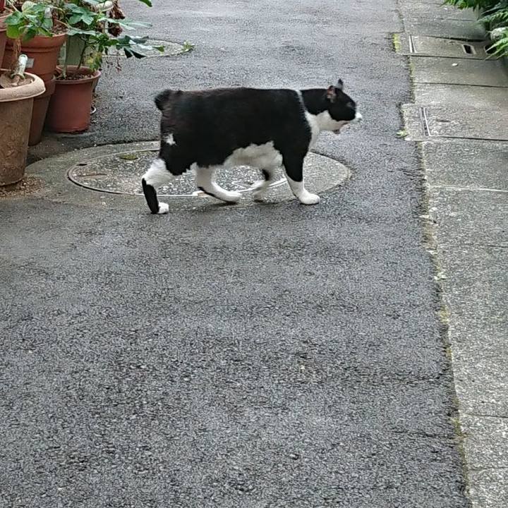 B0392d91 7a36 4237 8a93 8b00c1d2a8a9 1692489067417