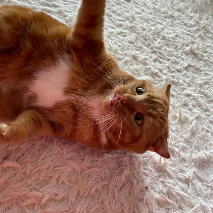 B0396e7a b24a 4e48 890a e96541b65386 1663469207909