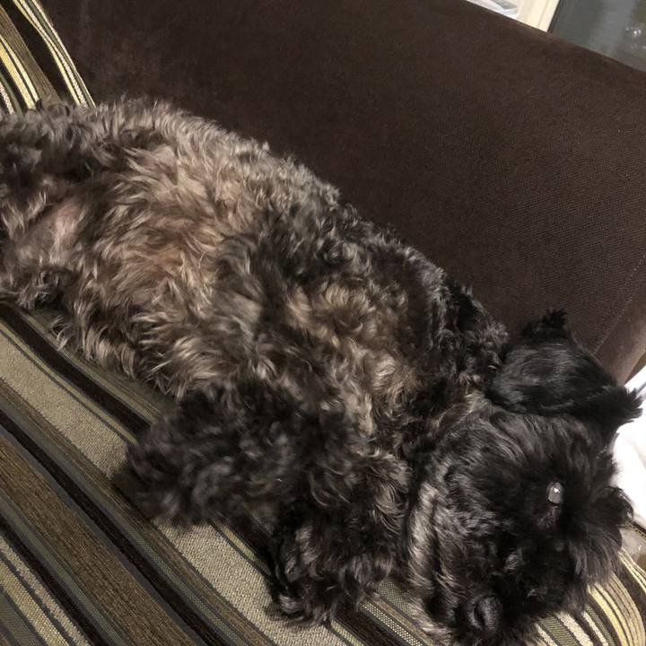 B03979aa 445f 456b ae12 b9d9ca322f89 1566212621425