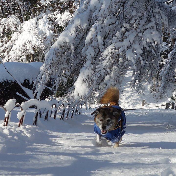 B039a898 dc83 4774 8cae 42800484bea0 1516671768008