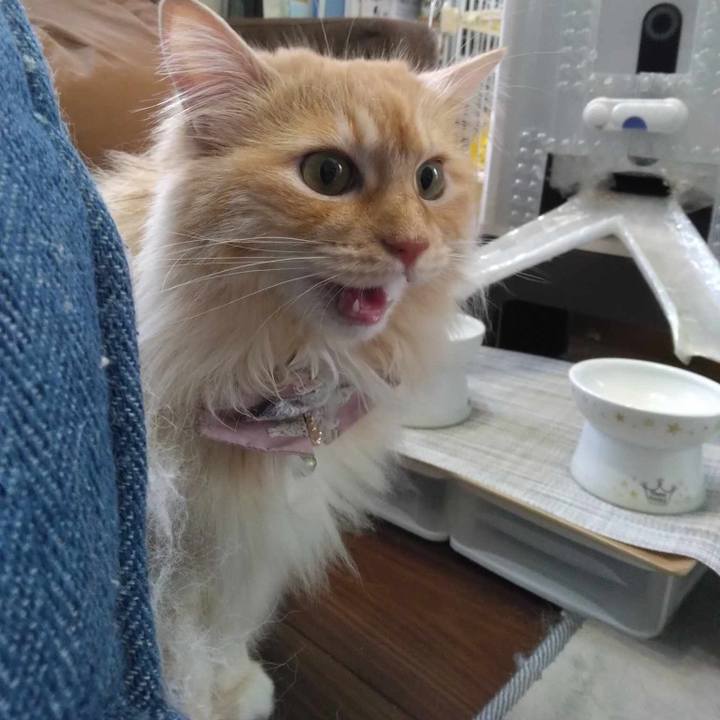 B039f6b9 942a 4467 afa3 ce5a111b7f26 1718436325582