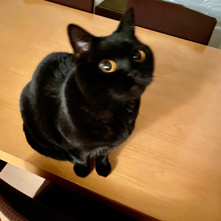 B03a0d7a 6905 4925 b78e cf609606c28c 1677498910273