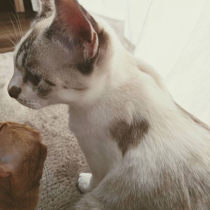 B03a3938 3808 42cf 9f28 cc440fb53c0a 1697842527097