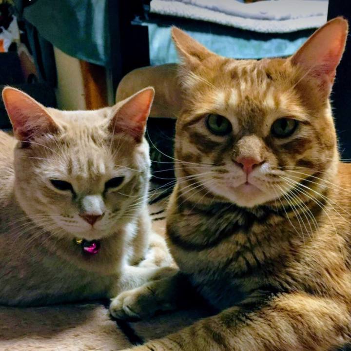 B03a4928 c927 4dcc 95c9 61551ee13baa 1580960771089