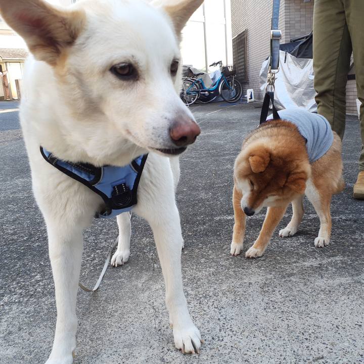 B03a7e93 8047 458a 8514 5f0122a0cb10 1678234160591