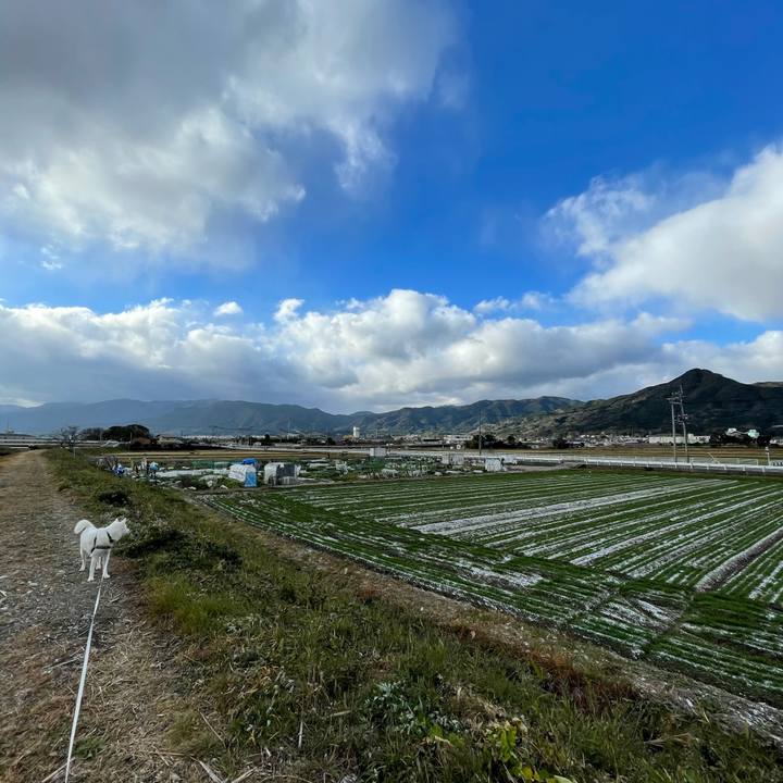 B03ac1ad cf62 494d b1cc fa7425371546 1609376882169