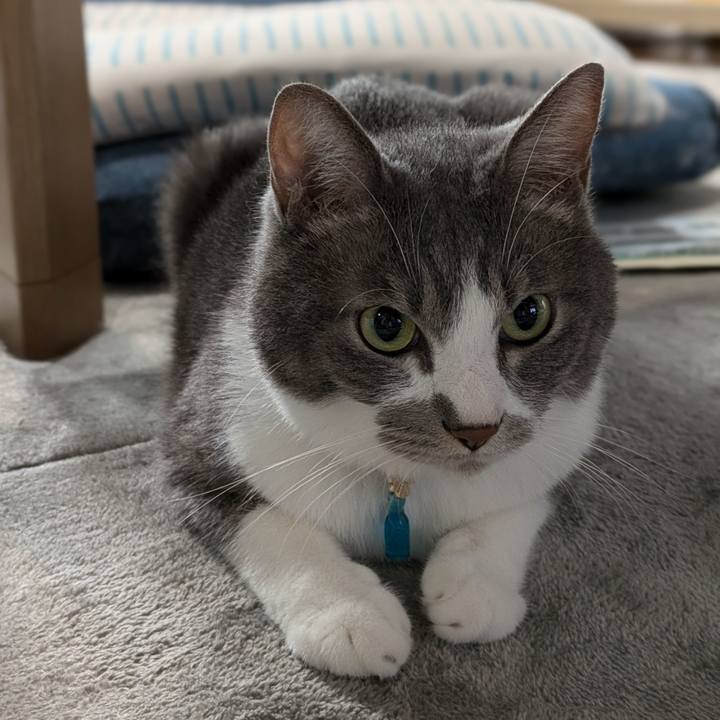 B03ac799 fb2b 4641 8b94 29024188953e 1727995767134