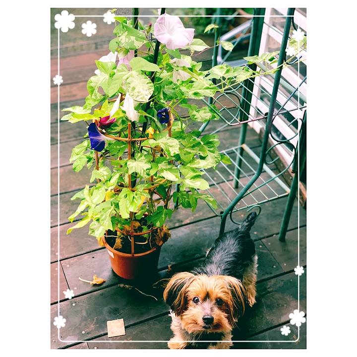 B03ae51f 3560 454a 9a57 fbc93e832a8c 1595542313697