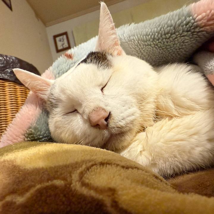 B03b0f8f c4cf 4638 86fb 055392e809d0 1770975378519