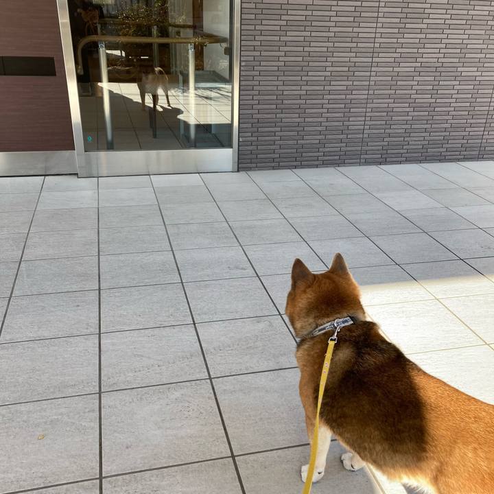 B03b219b 2d00 42f3 a24d 1967d0ac4589 1643766098352