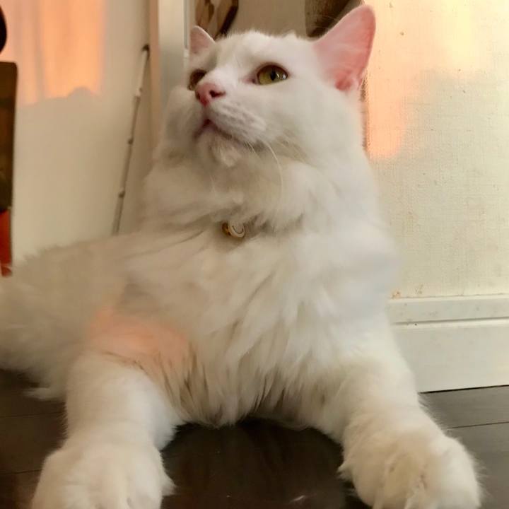 B03b3ade e9df 46a4 b6ca cb2218d63f49 1535015962450