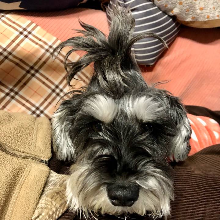 B03b49bf 39ab 4880 8a9f da02f2b7685e 1702825185922