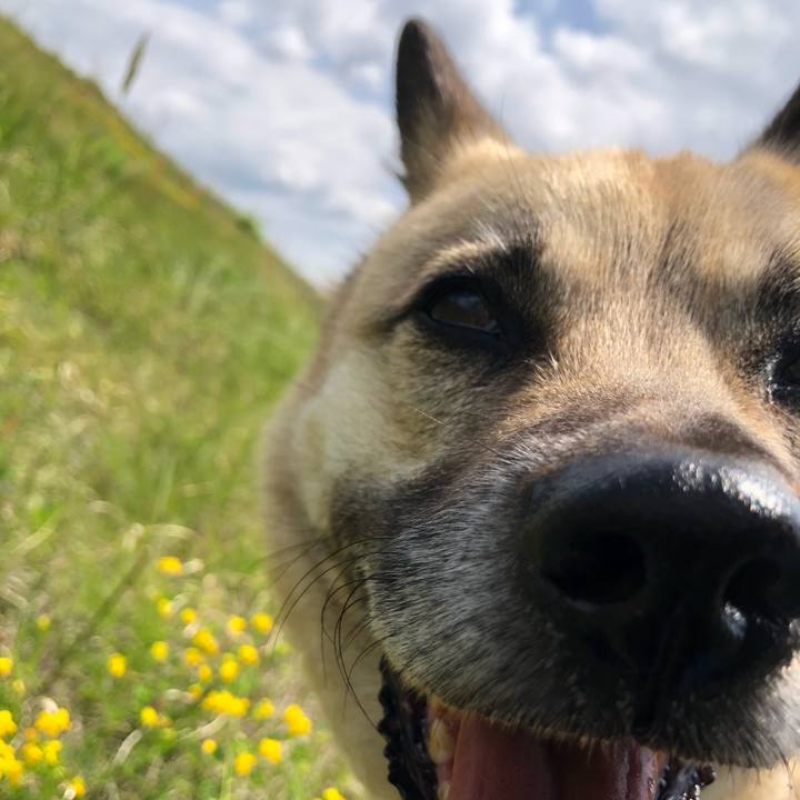 B03b4a67 1719 404f b075 0ab46fb0ce32 1618747756320