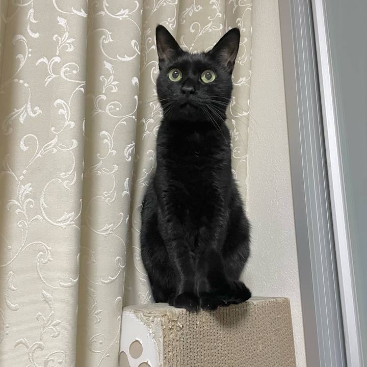 B03b5866 e037 4e06 95d1 28949e2056bf 1698843002846