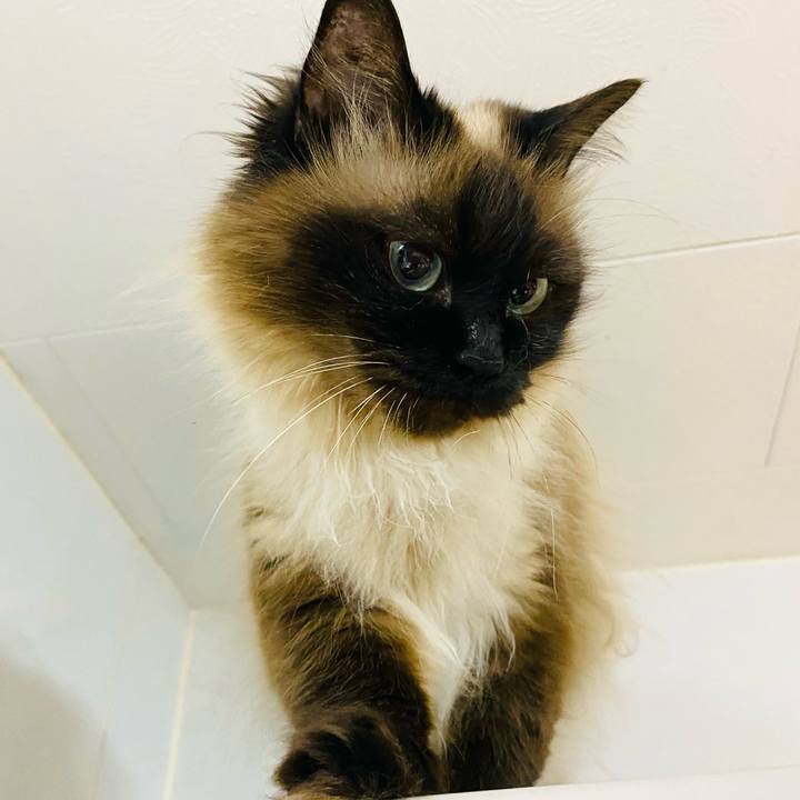 B03b5cb5 5b3c 4f00 82b5 d851d4001144 1684593032392