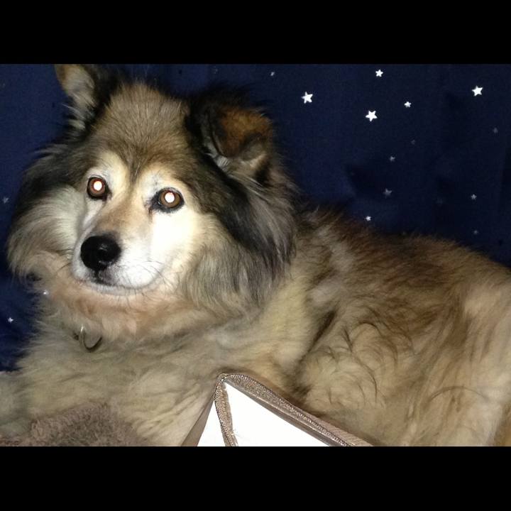 B03b7351 beae 4451 9c34 302d5a57733b 1575243711239