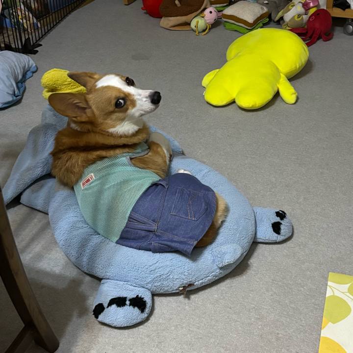 B03b9631 9190 4e02 b051 1224794a35e4 1758213210122